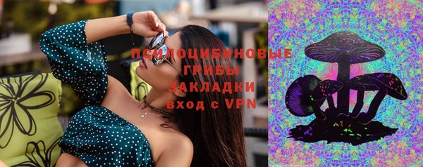 гидра Краснослободск