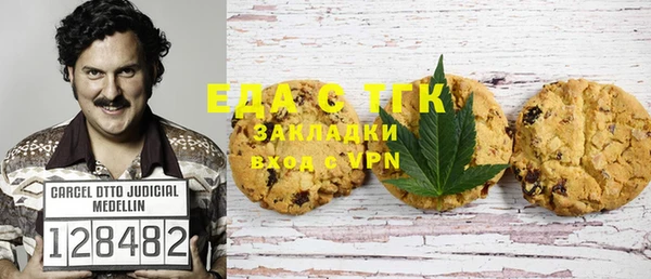 гидра Краснослободск