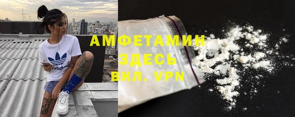 гидра Краснослободск
