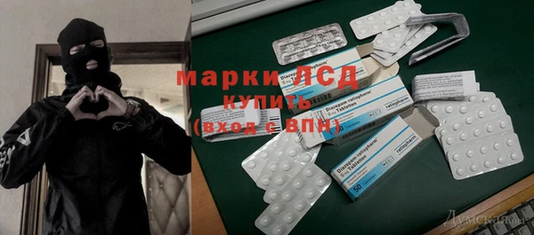 гидра Краснослободск