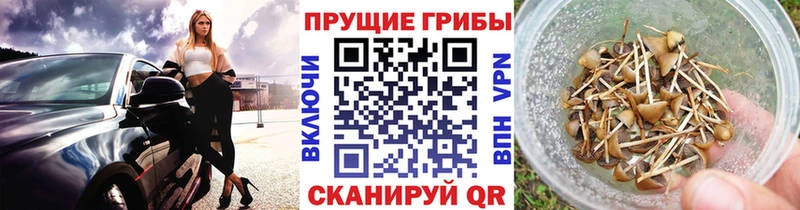 Псилоцибиновые грибы Psilocybe  Купить где  Еманжелинск 